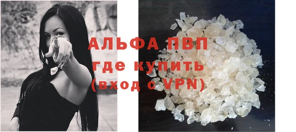 гашик Алексин