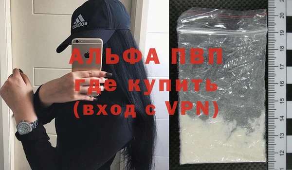 гашик Алексин