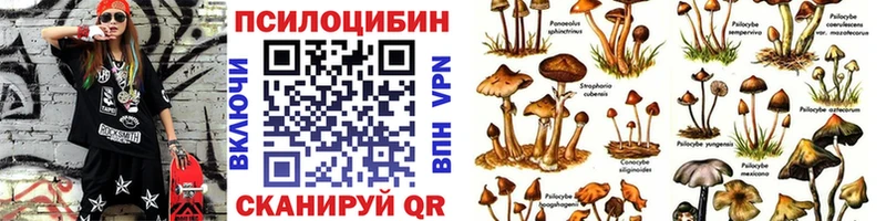 Галлюциногенные грибы MAGIC MUSHROOMS  Дубна 